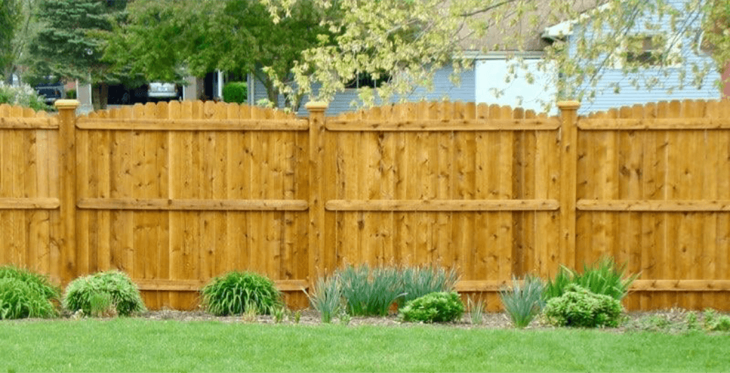 Cedar Fences